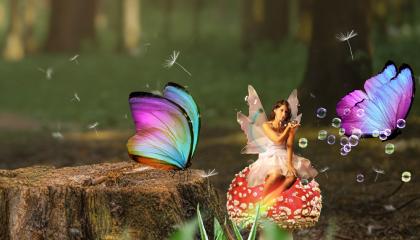 Fairy in the forest with butterflies
