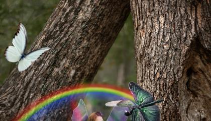 Fairy in the forest with a dragonfly
